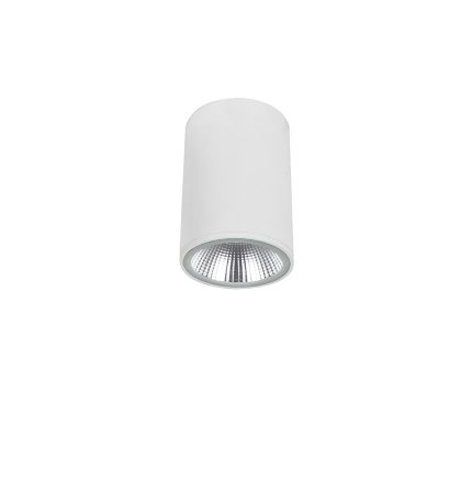 SPOT APLICAT FIX ALB IP20 DERMOT LED 10W