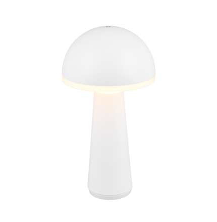 VEIOZA EXTERIOR ALBA IP54 FUNGO CU BATERIE 3000-6000K LED 2W