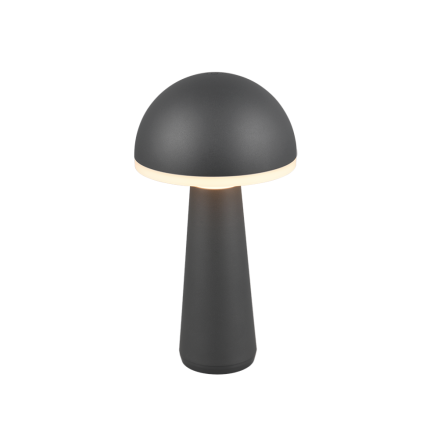 VEIOZA EXTERIOR ANTRACIT IP54 FUNGO CU BATERIE 3000-6000K LED 2W
